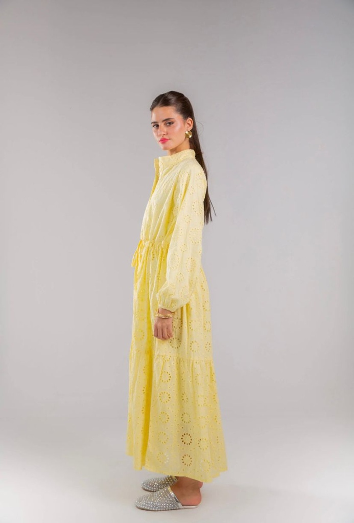 Buttoned Cutwork Embroidered Dress