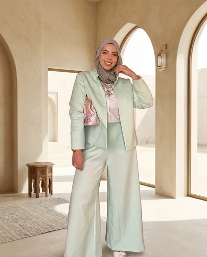 Minimal Collar Elegant Suit